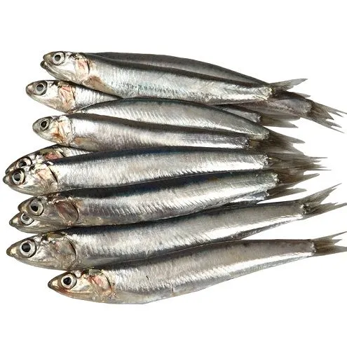 Anchois frais frais de la criée de Casablanca, livré à domicile