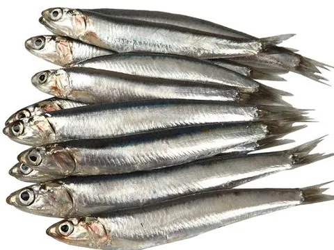 Anchois frais frais — livraison à domicile à Casablanca