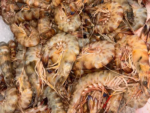 Crevettes Grises frais — livraison à domicile à Casablanca