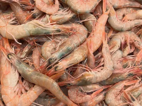 Crevettes Roses frais — livraison à domicile à Casablanca