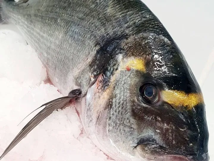 Dorade royale fraîche du jour — poissonnerie en ligne Casablanca