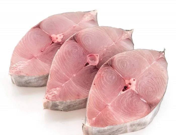 Espadon de la côte atlantique marocaine, au meilleur de sa saison au printemps