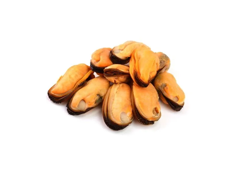 Moules frais de la criée de Casablanca, livré à domicile
